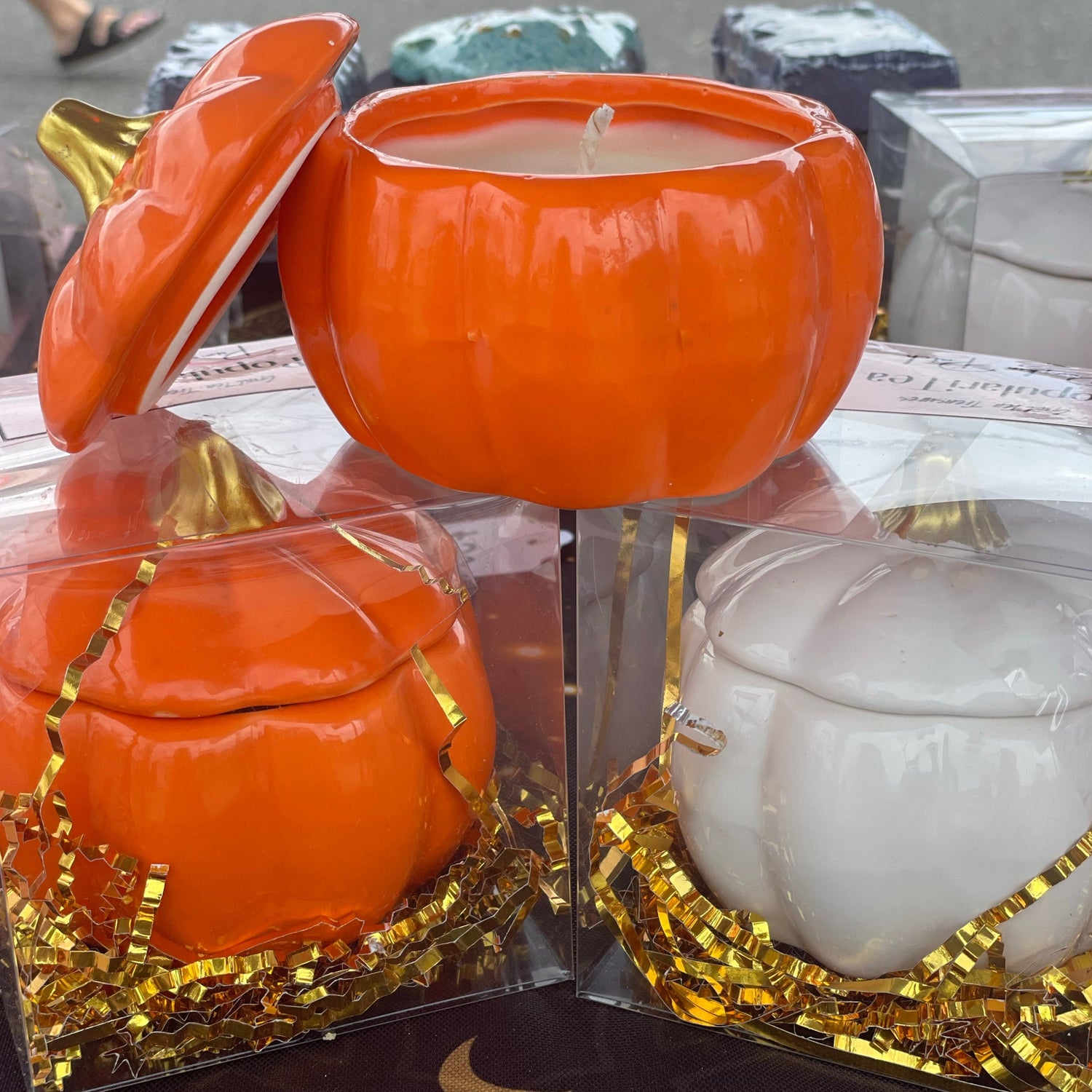 Fall Collection